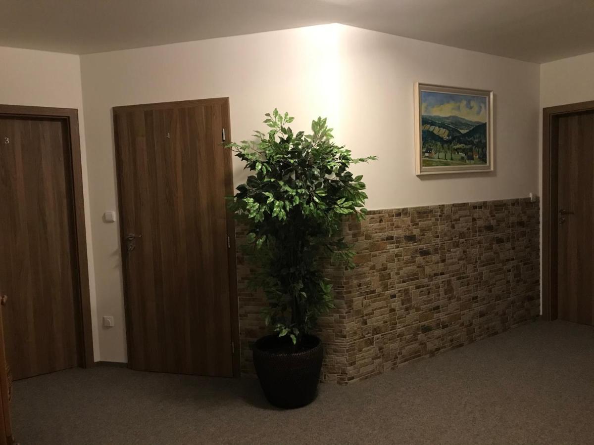 Na Planyrce Hotel Paseky nad Jizerou Luaran gambar