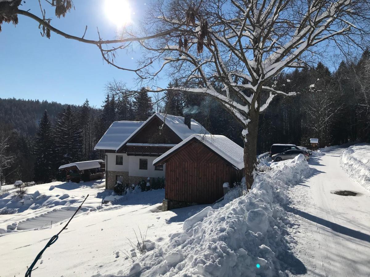 Na Planyrce Hotel Paseky nad Jizerou Luaran gambar