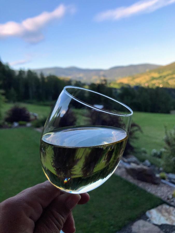 Na Planyrce Hotel Paseky nad Jizerou Luaran gambar