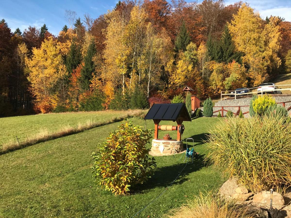 Na Planyrce Hotel Paseky nad Jizerou Luaran gambar