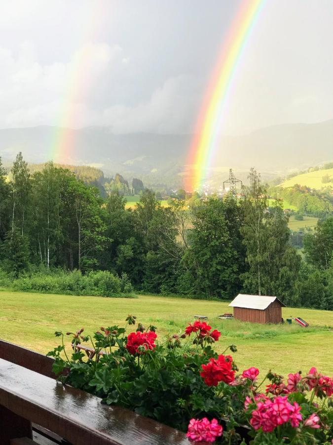 Na Planyrce Hotel Paseky nad Jizerou Luaran gambar